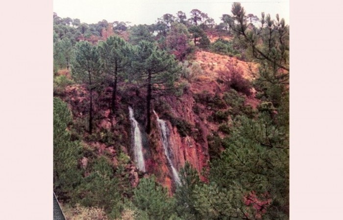 Arroyo del Tejo