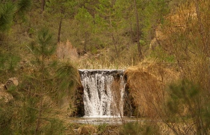 Arroyo del Tejo