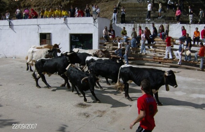 Encierro