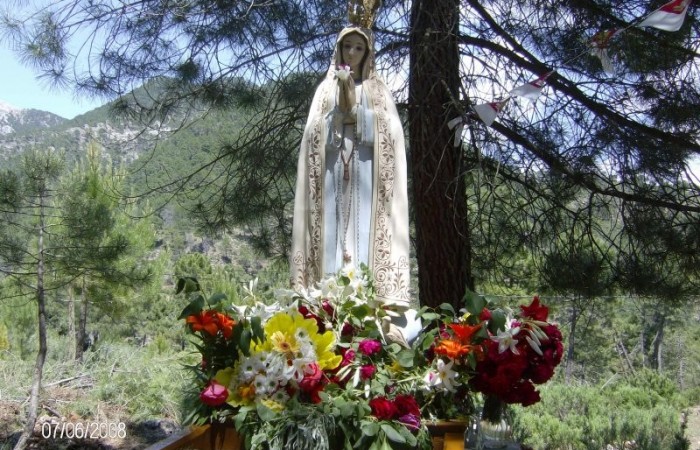 Romería Bellotar Virgen